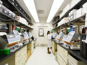 sewa alab lab