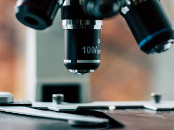 uji mikrobiologis lab satwa sehat