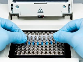 uji pcr klinis lab hewan satwa sehat